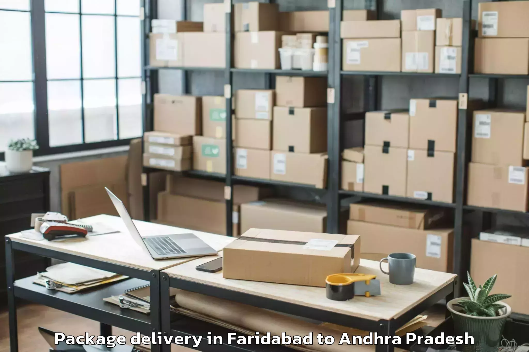 Professional Faridabad to Movva Package Delivery